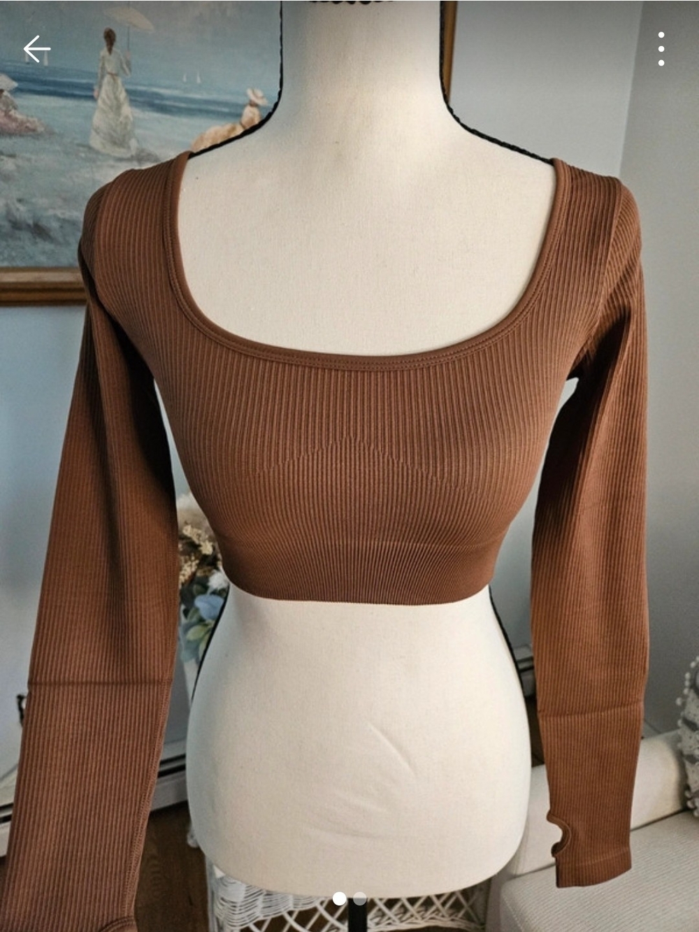 Ribbed Scoop-Neck Cropped Top in Chestnut Brown